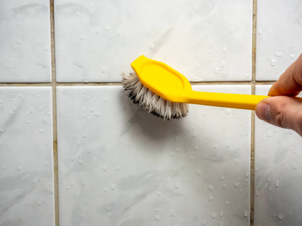 Best Mold Removal Near Me  in Midway North, TX