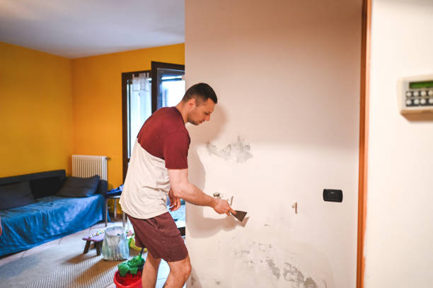 Best Emergency Mold Removal  in Midway North, TX